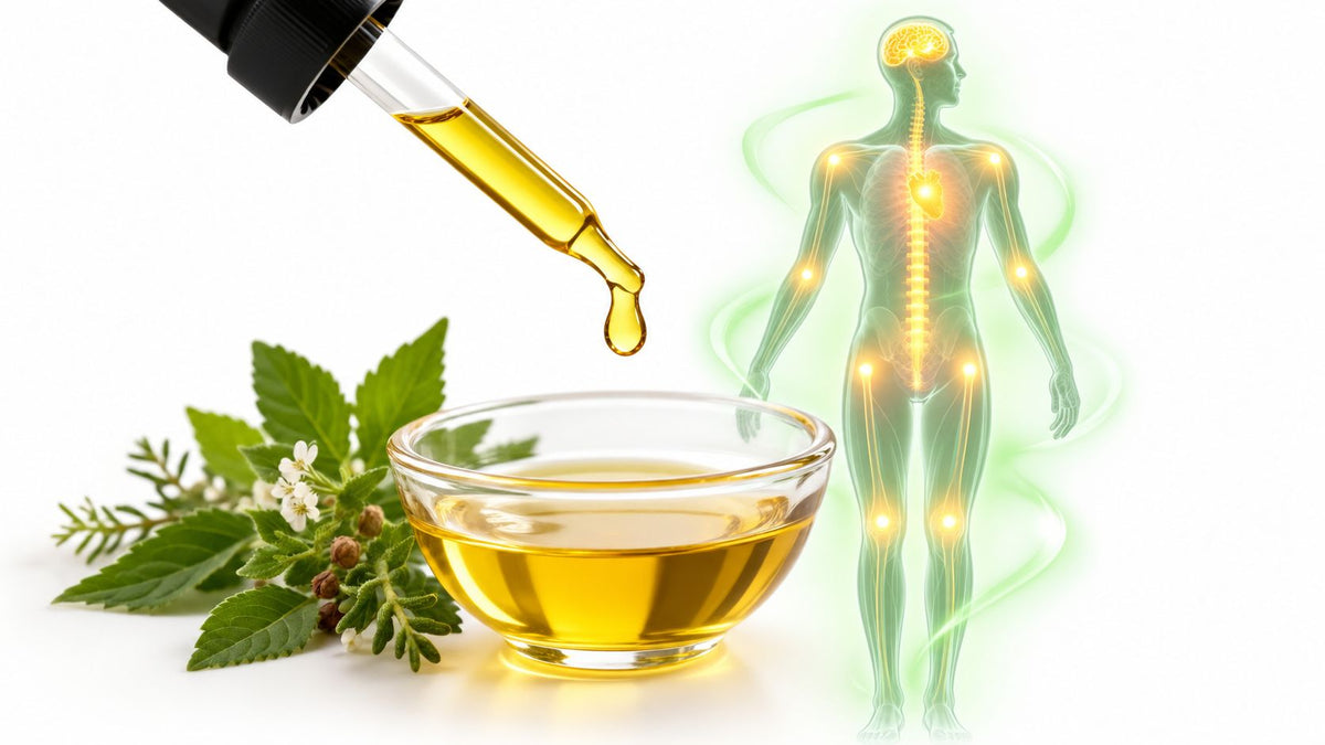 CBD Wirkung auf den Körper: Was wirklich passiert