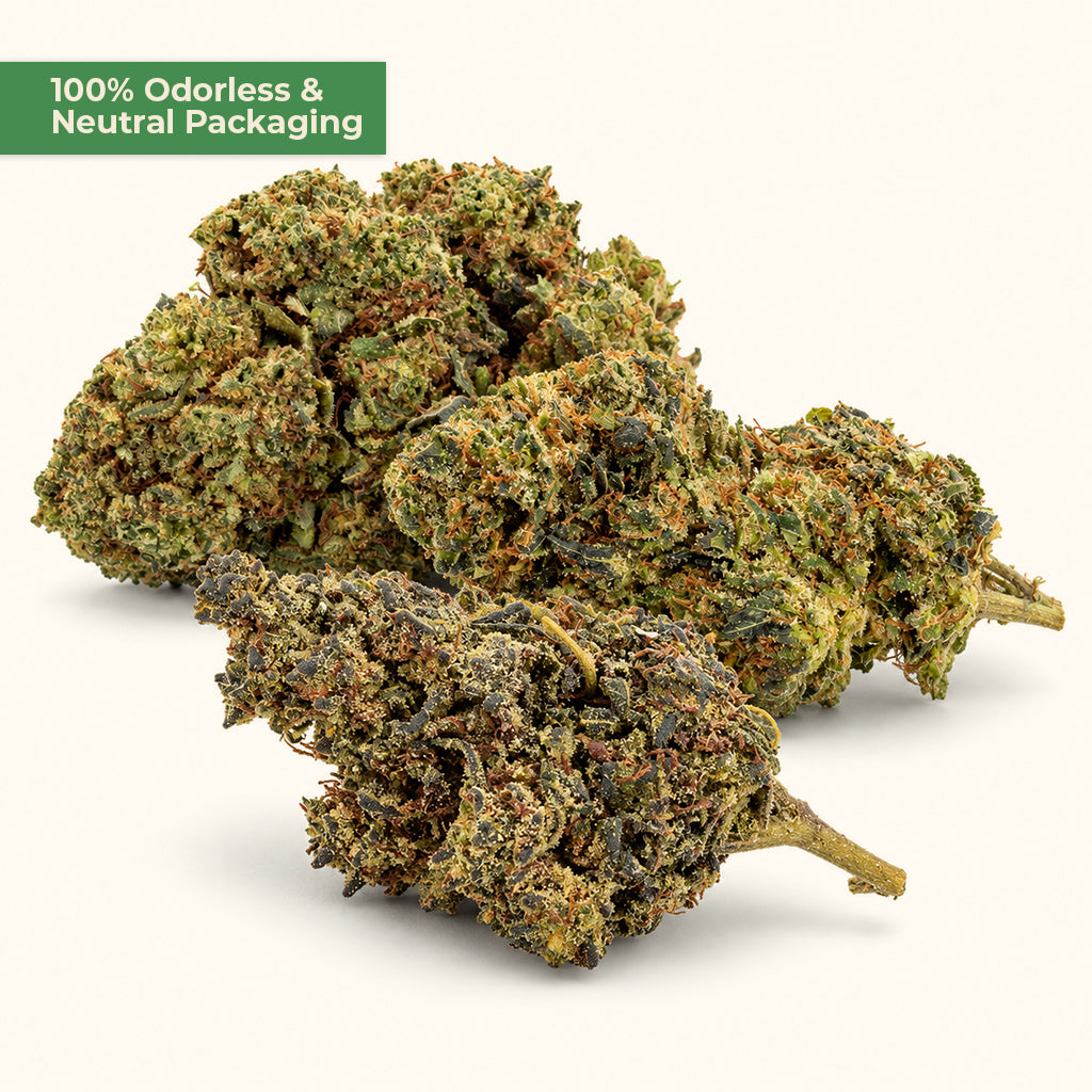 Holy Trinity PHC Starter Kit – 15g Blütenmix - MYGREEN