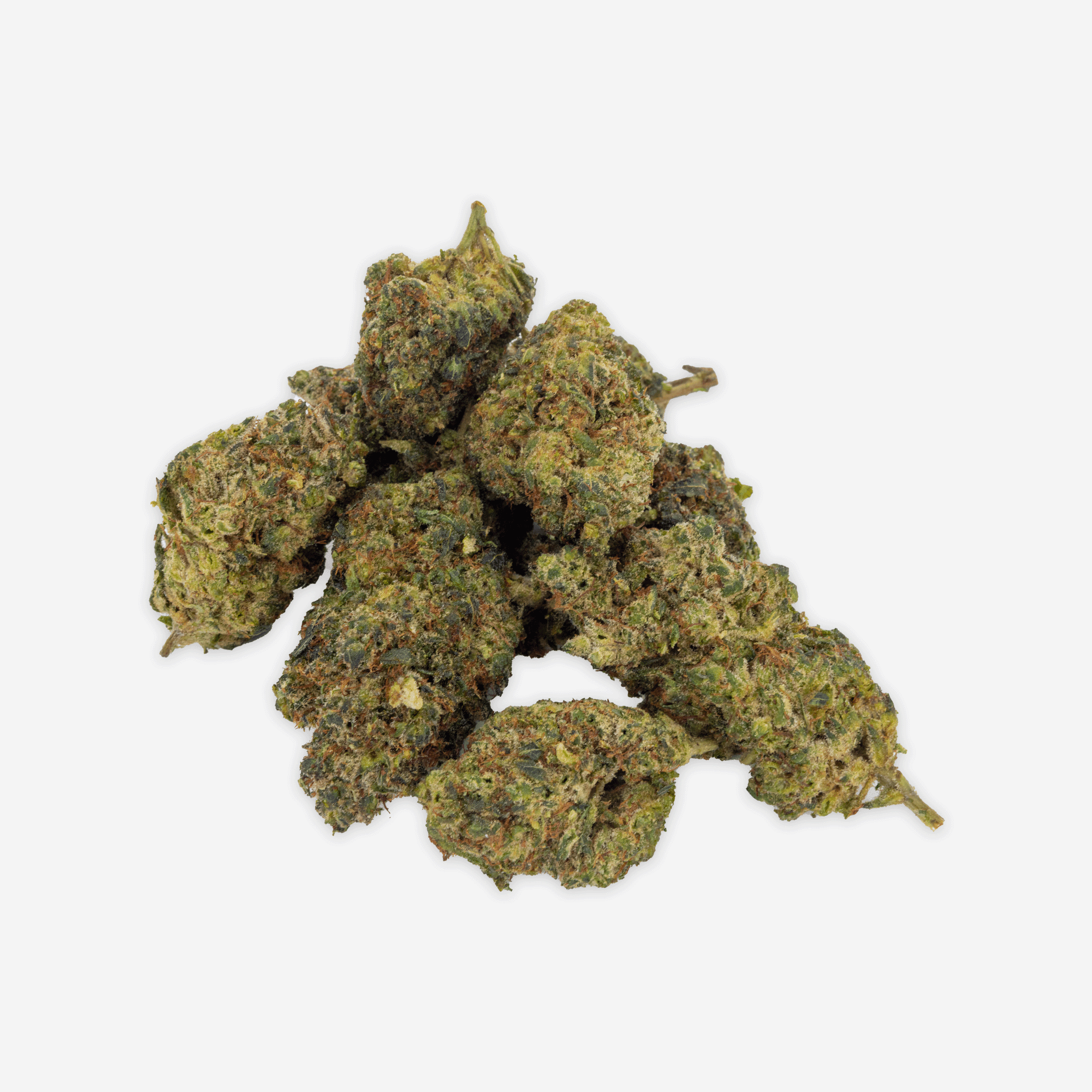 Amnesia Haze PHC | zitrisches Sativa-Profil | MYGREEN - MYGREEN