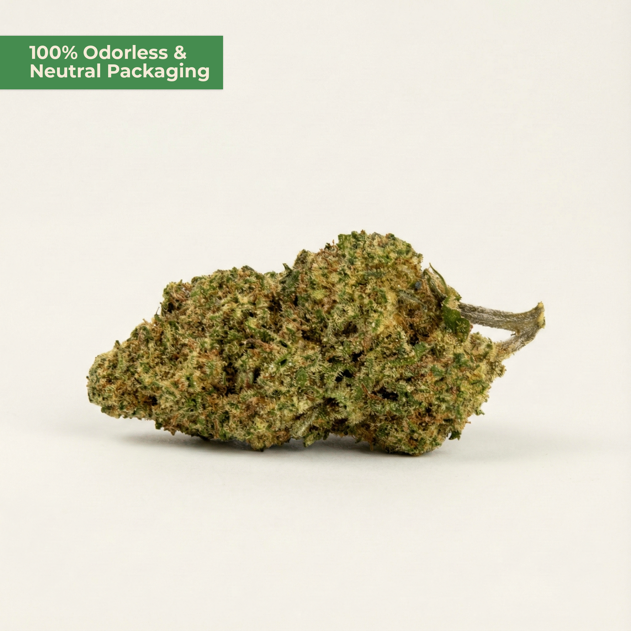 Pineapple Express Superior | tropischer Blüten-Strain | MYGREEN - MYGREEN