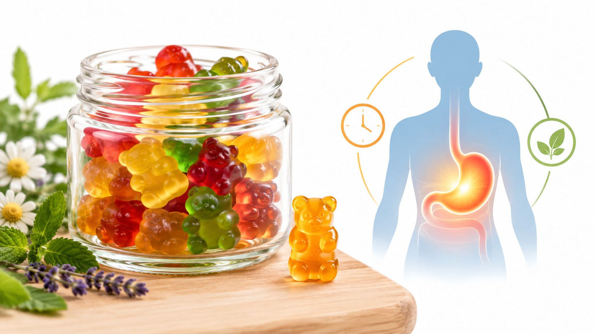 Hasch Gummibärchen Wirkung: Was Du Wissen musst - MYGREEN