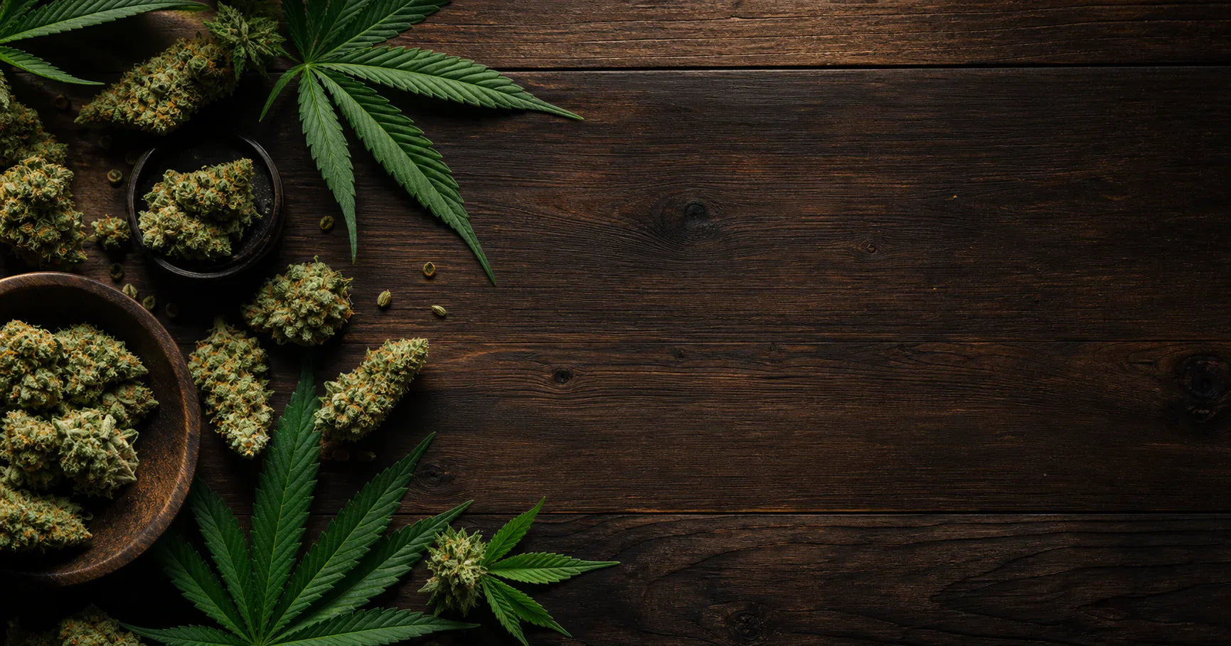 Premium Cannabis Blüten und Botanik – Superior Cannabis Guide 2026