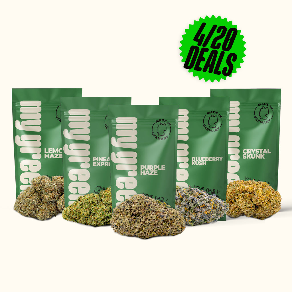 Pineapple Express, Lemon Haze, Purple Haze, Blueberry Kush & Crystal Skunk bei My Green kaufen.
