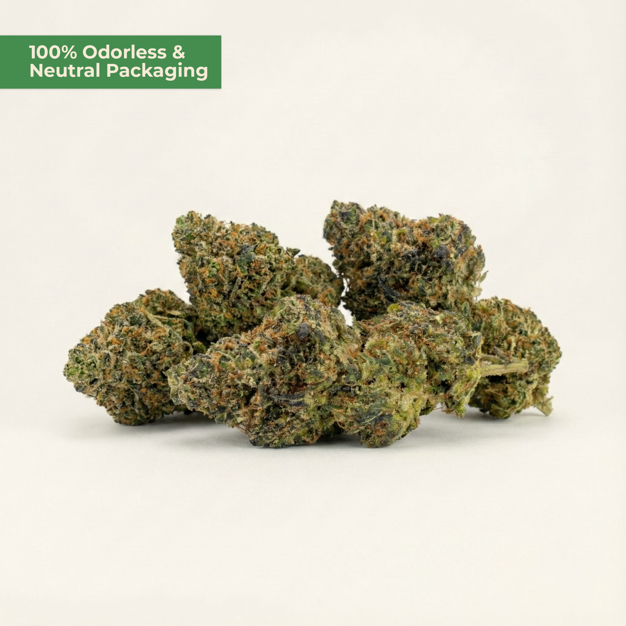 Amnesia Haze PHC – Sativa-Blüte