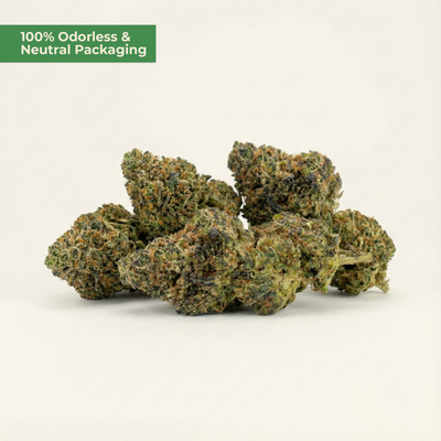 Amnesia Haze PHC – Sativa-Blüte