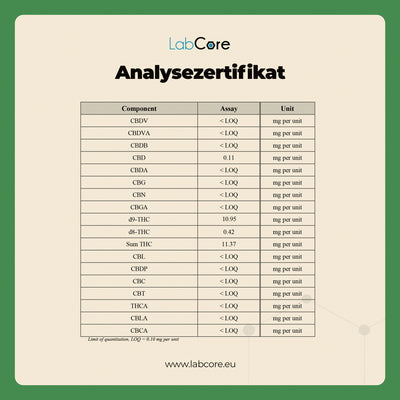 Gargamel's THC Gummibärchen Cherry – Verbotene Frucht | MYGREEN