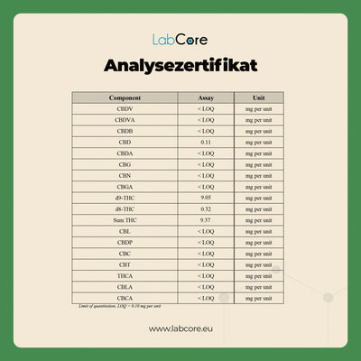 THC Gummibärchen Peach – Sommertraum in Bärchenform | MYGREEN