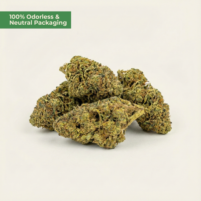 Green cannabis buds on a beige background with text '100% Odorless & Neutral Packaging'.