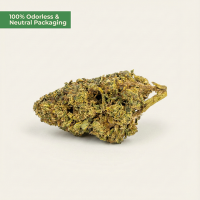 Dried cannabis bud on a white background with text '100% Odorless & Neutral Packaging'.