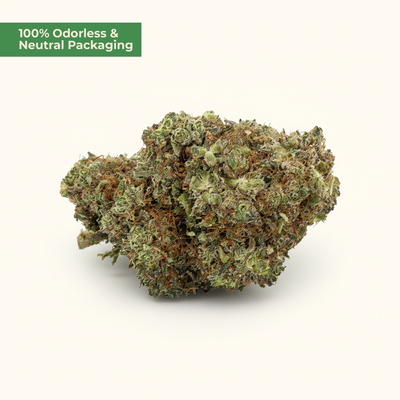 Mature cannabis bud on a white background with text '100% Odorless & Neutral Packaging'.