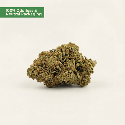 Dried cannabis bud on a white background with text about odorless packaging.