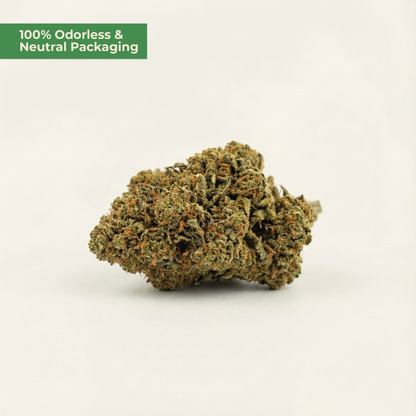 Dried cannabis bud on a white background with text about odorless packaging.
