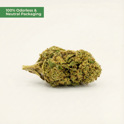 Marijuana bud on a white background with text about odorless packaging.