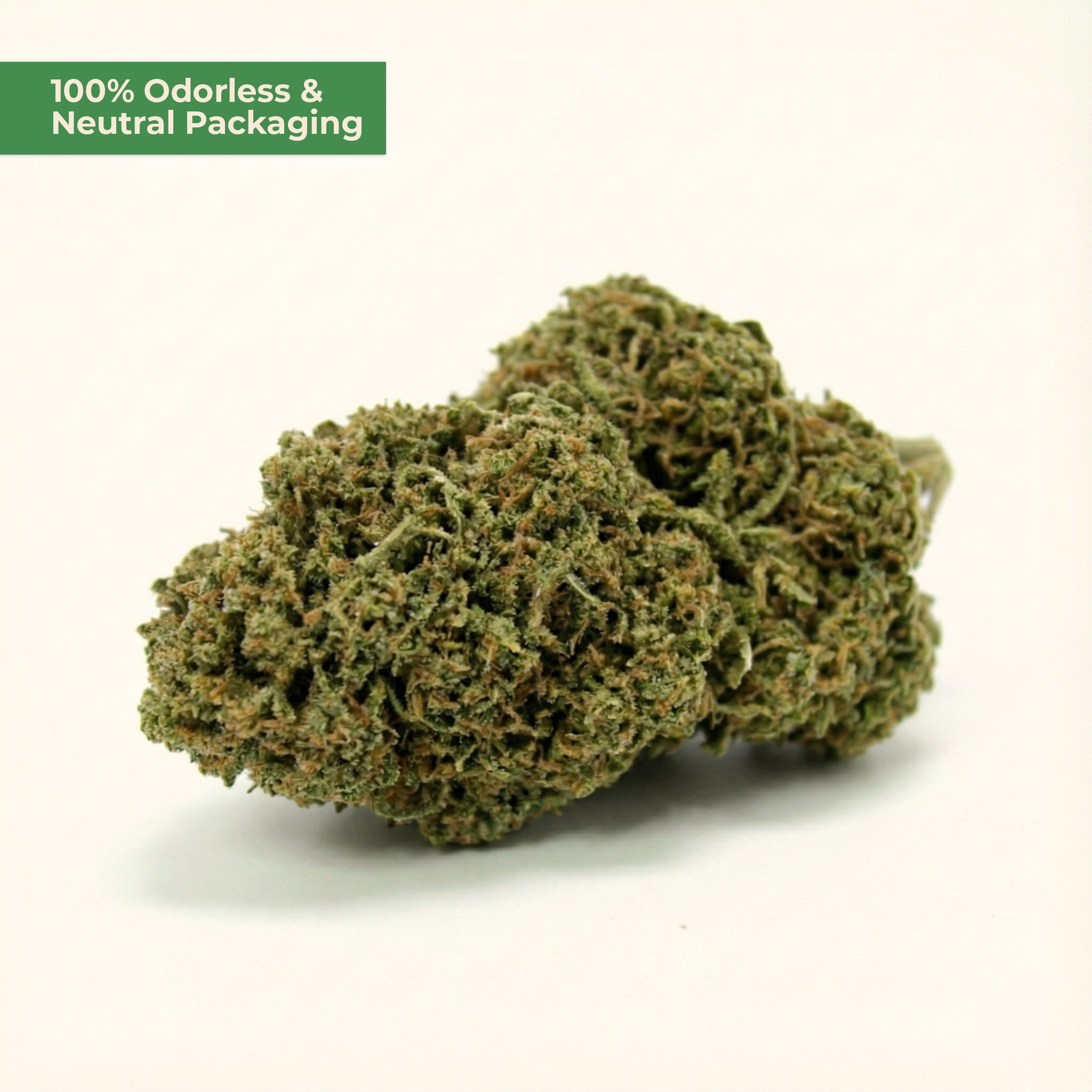 Green cannabis bud on a white background with text '100% Odorless & Neutral Packaging'.