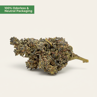 Dried cannabis bud on a light beige background with text '100% Odorless & Neutral Packaging'.