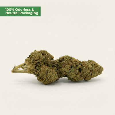 Dried cannabis buds on a light beige background with text '100% Odorless & Neutral Packaging'.
