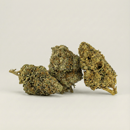 Three cannabis buds on a beige background
