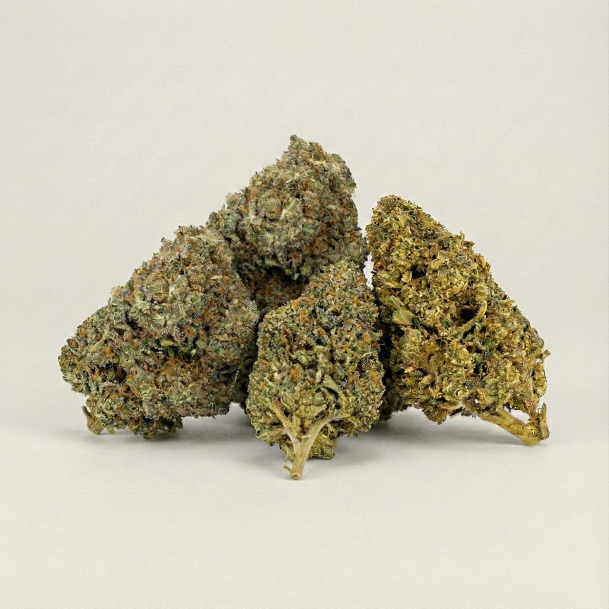 Close-up of dried cannabis buds on a beige background