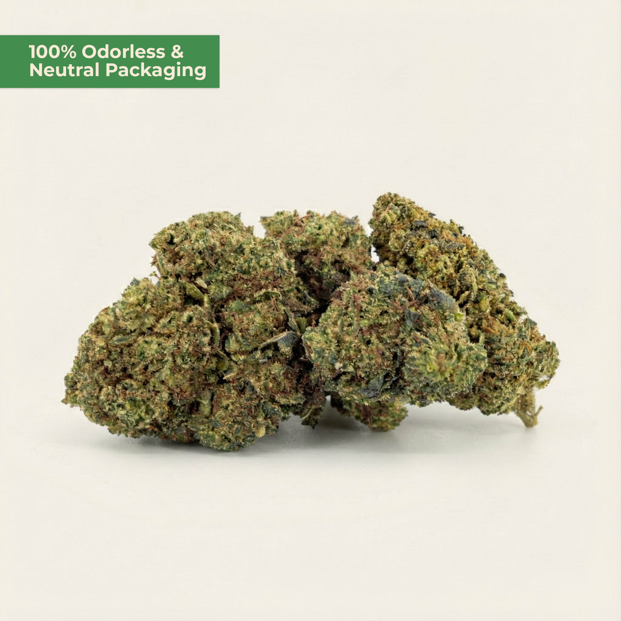 Lemon Haze PHC – Sativa-Blüte