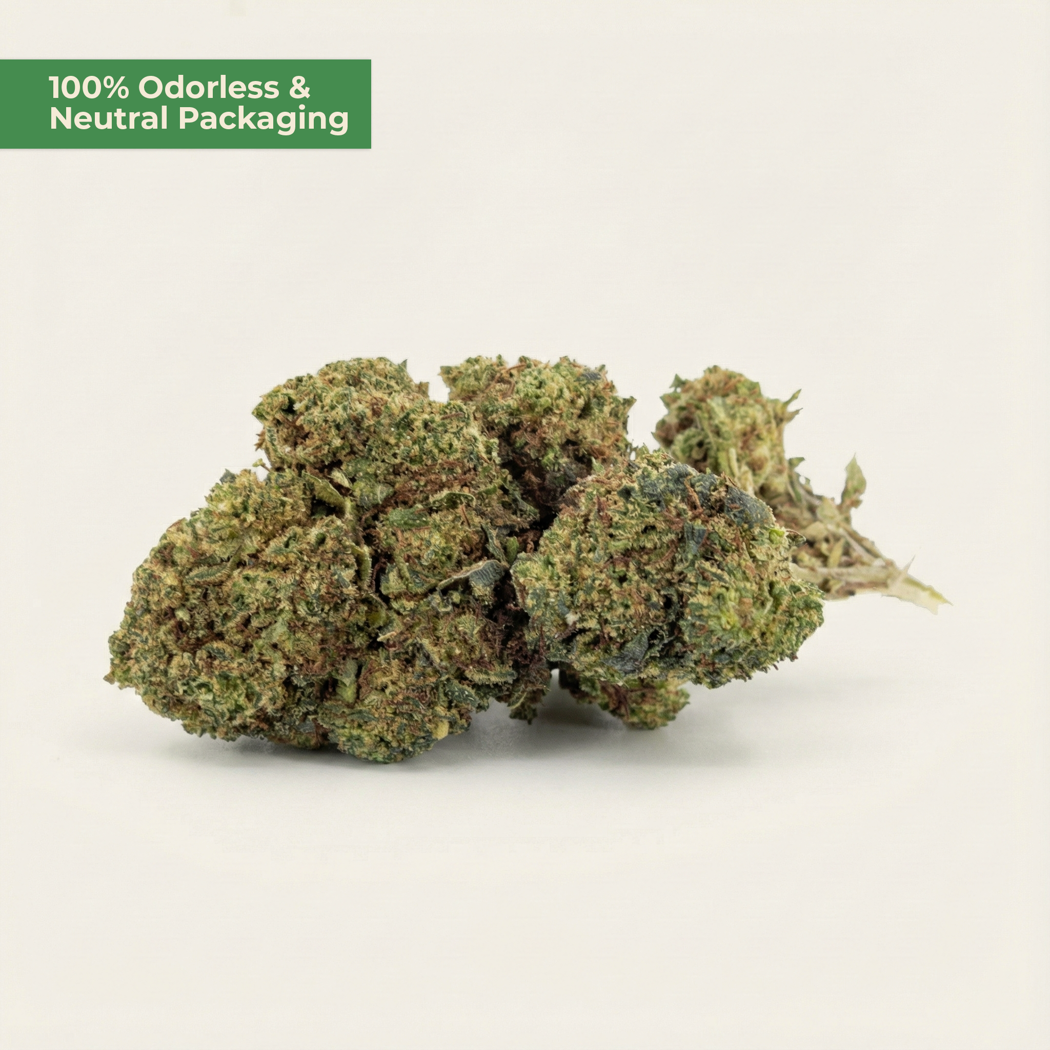 Lemon Haze PHC – Sativa-Blüte