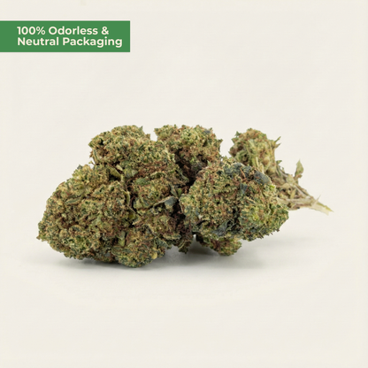 Lemon Haze PHC – Sativa-Blüte