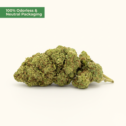 Lemon Pop PHC – Sativa-Blüte (5g)