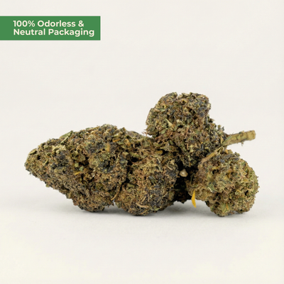 Maui Wowie T9HC Blüte – Exotisches Aroma & Kraftvolle Wirkung