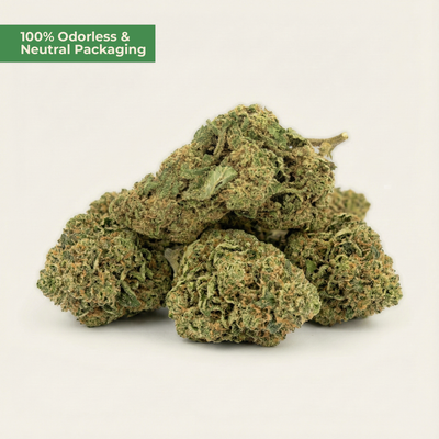 Mimosa CBD 35% Blüte – Fruchtig-belebend | MYGREEN Premium