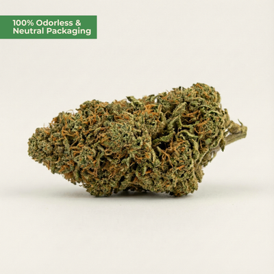 OG Kush 9H-HHC – Indica-Blüte