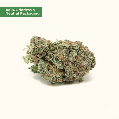 Purple Candy Kush 10-OH-HHC – Indica-Blüte (5g)