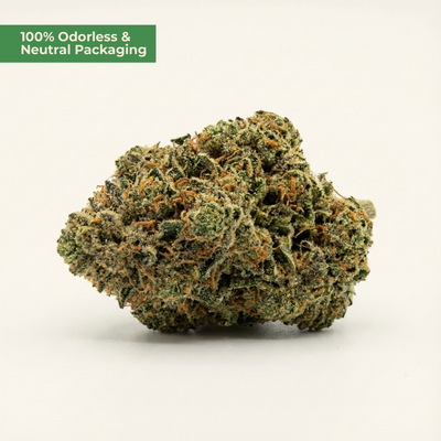 Super Silver Haze 9H-THC – Premium Popcorn Buds