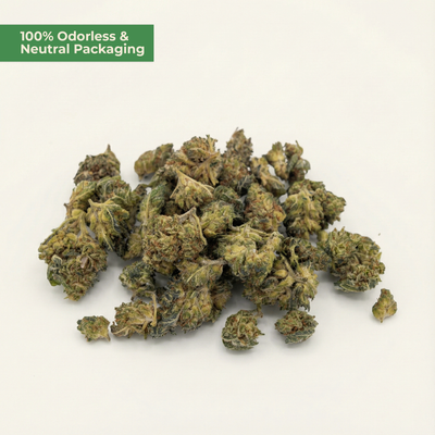 Super Silver Haze 9H-THC – Premium Popcorn Buds