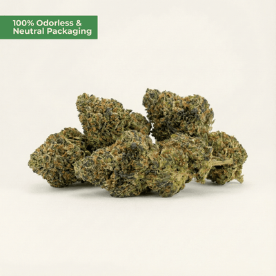 Amnesia Haze PHC – Sativa - Blüte - MYGREEN