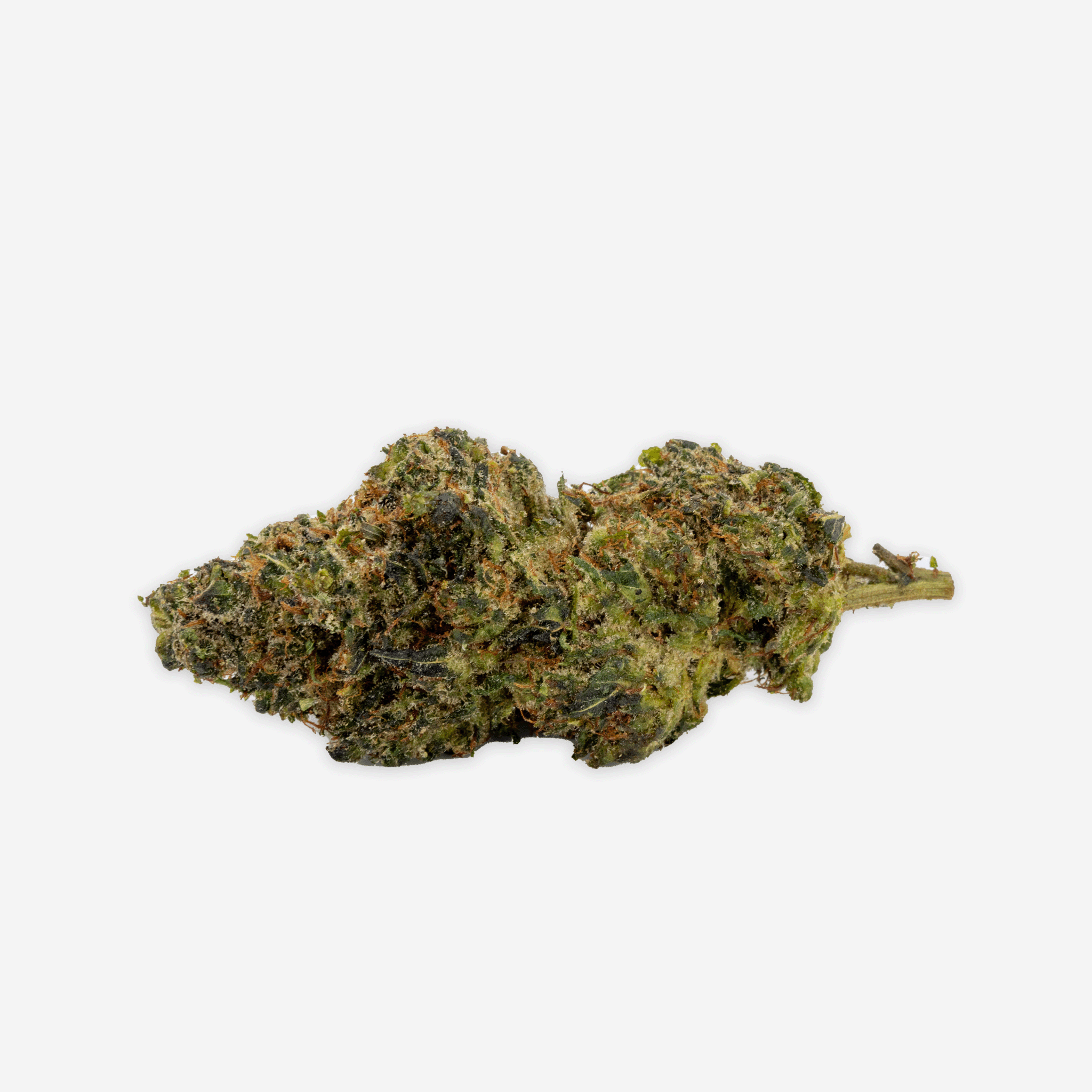 Amnesia Haze PHC | zitrisches Sativa-Profil | MYGREEN - MYGREEN