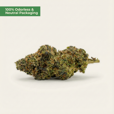 Amnesia Haze PHC | zitrisches Sativa-Profil | MYGREEN - MYGREEN