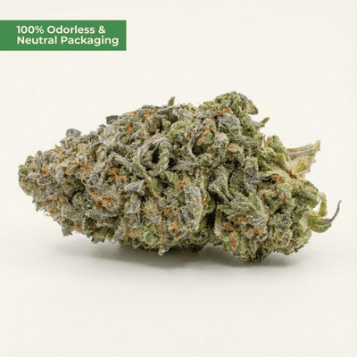 Blueberry Kush 10 - OH - HHC – Indica - Blüte (5g) - MYGREEN