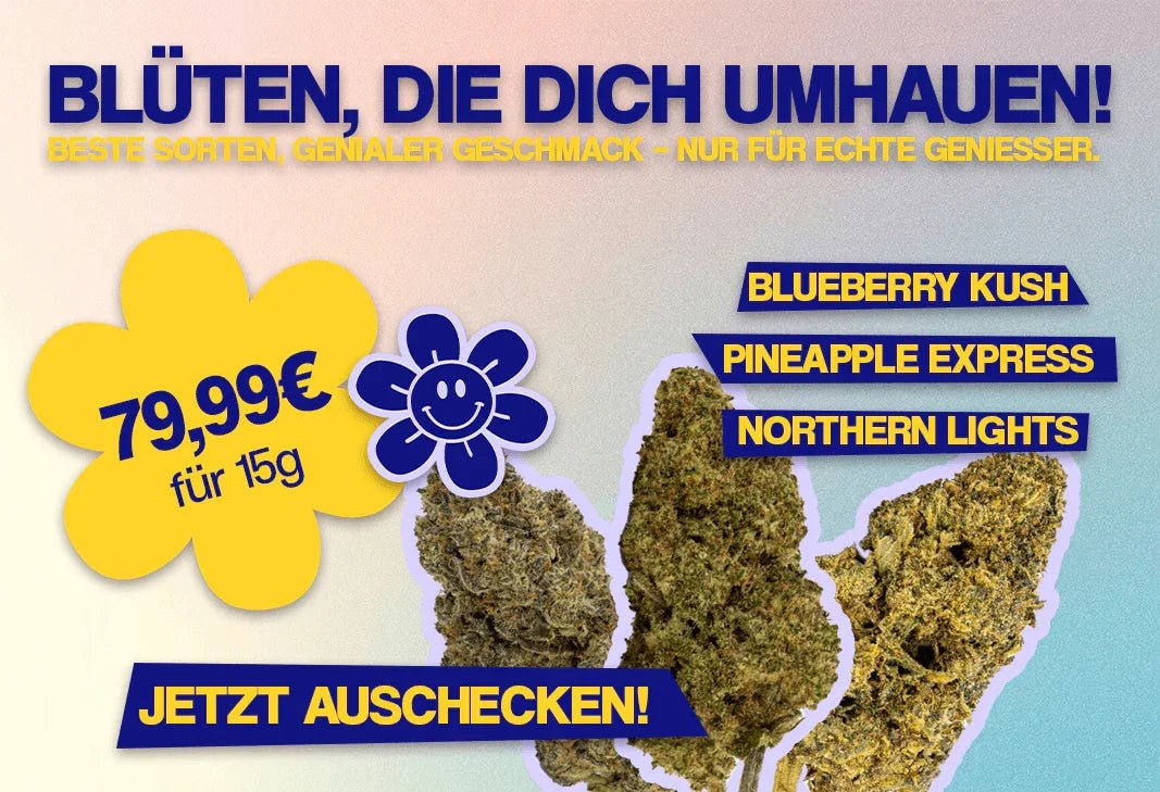 Cannabis Legends Blütenbundle – 15g für nur 5€/g! - MYGREEN