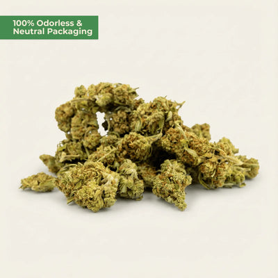 Cheese Skunk CBD 25 % – würzig-skunkig – MYGREEN