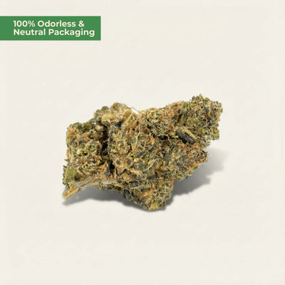 Critical CBD 25 % – würzig-erdiges Profil – MYGREEN