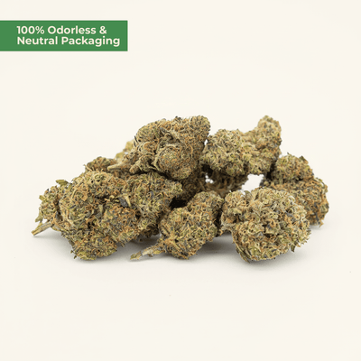 Critical Haze 9H-HHC | würziges Haze-Profil | MYGREEN - MYGREEN