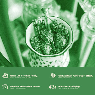 Greens Starter Kit | Premium Cannabis Mix 15g | MYGREEN - MYGREEN