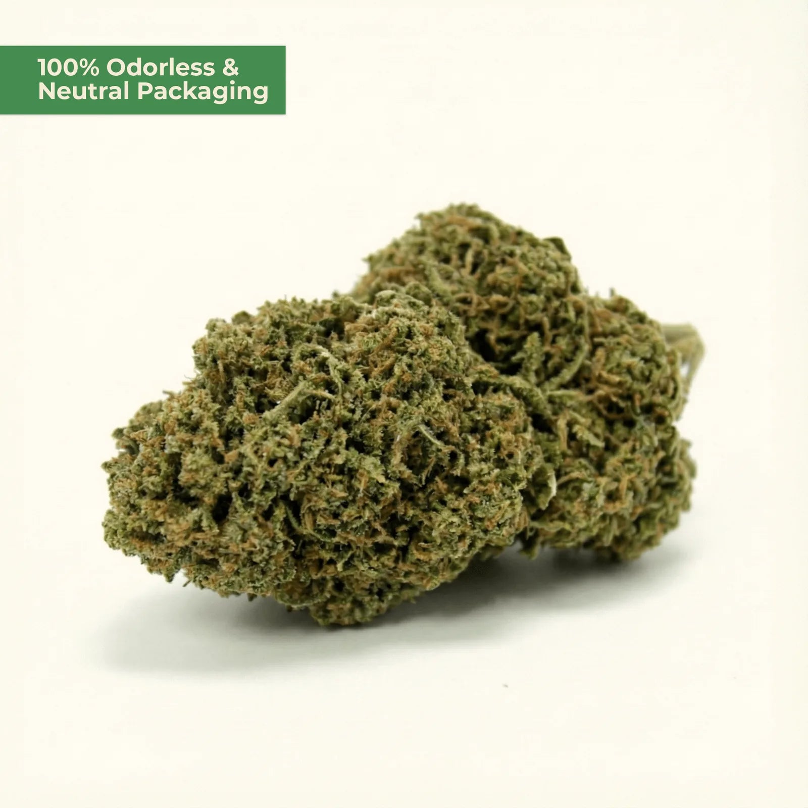 Lemon CBD 25 % – zitrisch-frische Blüte – MYGREEN