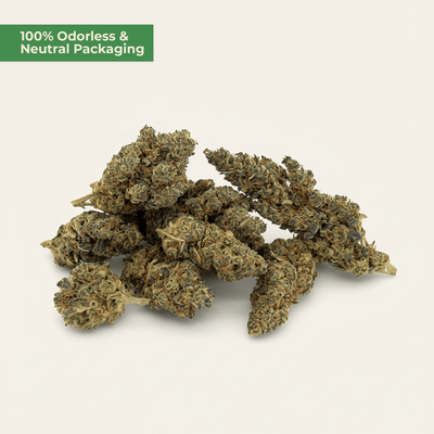Northern Lights 10 - OH - HHC – Indica - Blüte (5g) - MYGREEN
