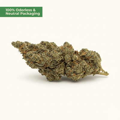 Northern Lights 10 - OH - HHC – Indica - Blüte (5g) - MYGREEN