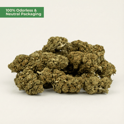 OG Kush CBD 25 % | klassischer Kush-Charakter | MYGREEN - MYGREEN