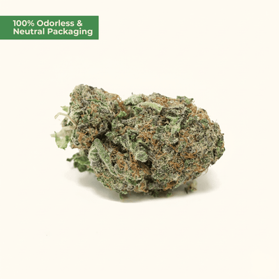 Purple Candy Kush 10 - OH - HHC – Indica - Blüte (5g) - MYGREEN