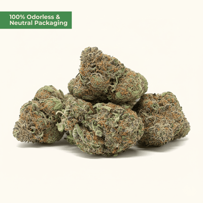 Purple Candy Kush 10 - OH - HHC – Indica - Blüte (5g) - MYGREEN