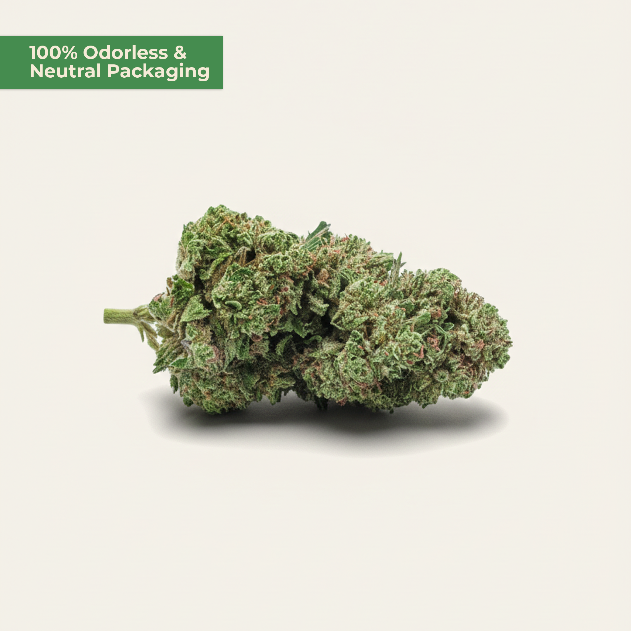 Runtz CBD 25 % | süßer Candy-Strain | MYGREEN - MYGREEN