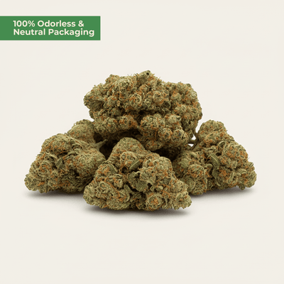Runtz - Wedding Cake 10 OH HHC – Hybrid - Blüte - MYGREEN