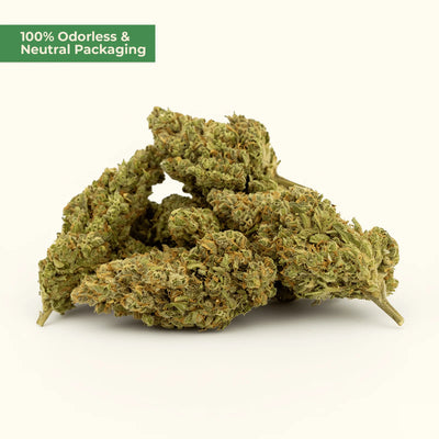 White Widow 9H-HHC – frostiger Klassiker – MYGREEN